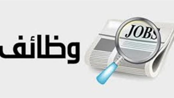 عاجل.. بمرتبات تصل لـ20 ألف جنيه.. فرص عمل من الحكومة للشباب