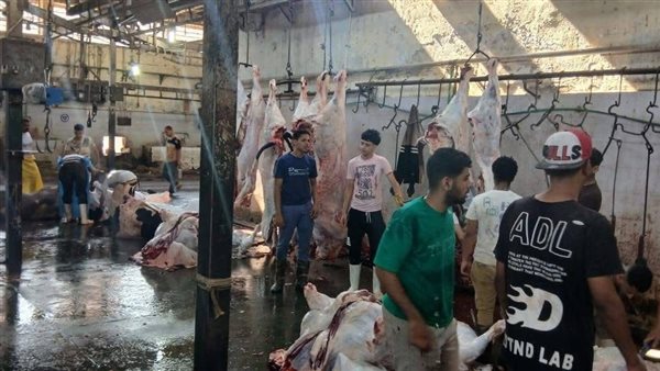4300 أضحية بالمجان داخل المجازر المعتمدة خلال العيد