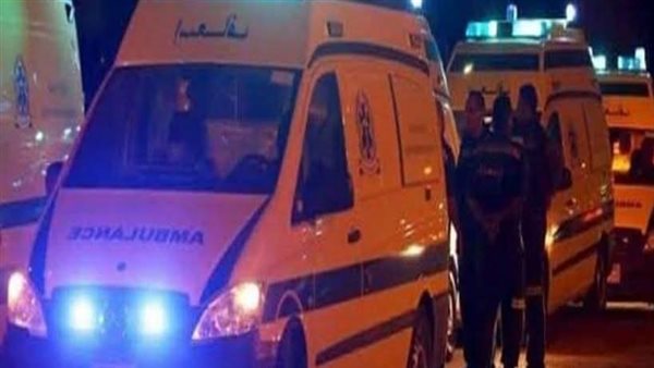 إصابة شخصين في اصطدام سيارة ملاكي يقودها شاب تحت السن بمنطقة دلة بالفيوم