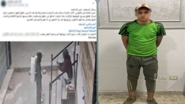 ضبط عامل خردة لشروعه في سرقة هاتف طالبة والتعدي عليها بالشرقية