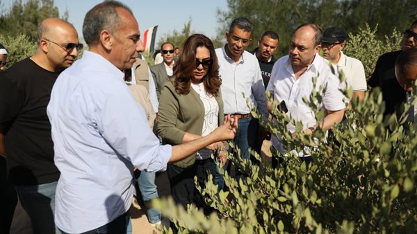 منال عوض ومحافظ البحر الأحمر ورئيس هيئة تنمية الصعيد يتفقدون مشروع زراعة نبات الجوجوبا بالغردقة