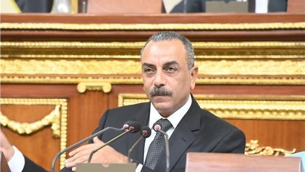 سياسة مصر الخارجية تقوم على احترام سيادة الدول واستقرار الشعوب