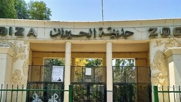 موعد افتتاح حديقة الحيوان بالجيزة بعد التطوير 2026.. تفاصيل إعادة الافتتاح