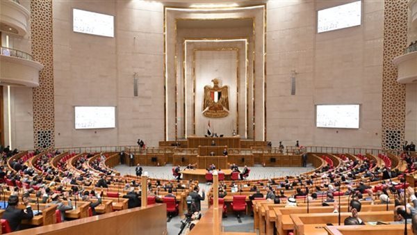 تحذير من تطبيق النظام الجديد.. تحرك برلماني عاجل بشأن إلغاء الشرائح للعدادات الكودية