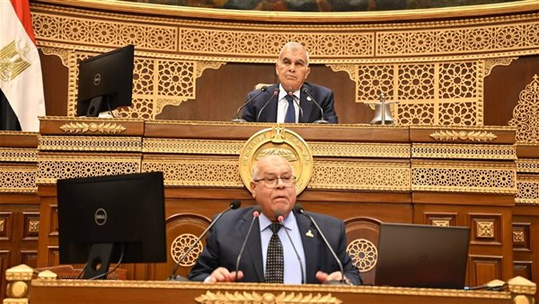 عضو بالشيوخ يكشف السبب الحقيقي وراء تعثر وصول الصادرات المصرية إلى 100 مليار دولار