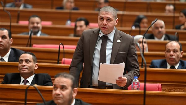 قرار السيسي بزيادة المعاشات رسالة طمأنة للمصريين لمواجهة التحديات الاقتصادية