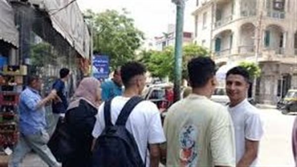 جمع ناقة في اللغة العربية للثانوية العامة.. أشهر الصيغ الصحيحة