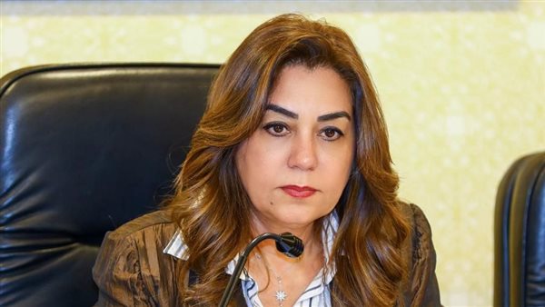 وزيرة التنمية تتابع نتائج المرور الميداني للجنة الحوكمة والمحال العامة بمحافظة الجيزة