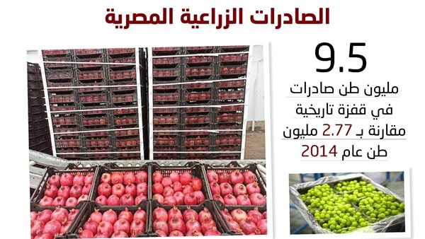 الصادرات الزراعية المصرية تقفز إلى 9.5 مليون طن وتغزو 170 سوقاً دولية