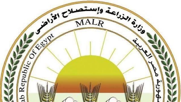 الزراعة تكشف تفاصيل المساحات الفعلية المنزرعة بالقطن ومؤشرات المحصول للموسم الجديد