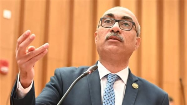 ثورة 30 يونيو أعادت للمصريين هويتهم والشعب يستحق التقدير لصبره