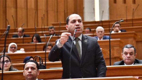 قانون الإدارة المحلية دستور السلطة التنفيذية