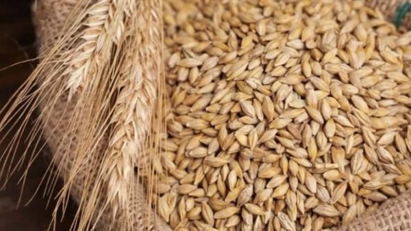 سعر طن الأرز الشعير اليوم