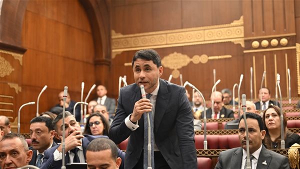 الأمن السيبراني ركيزة أساسية لحماية الأمن القومي والاقتصادي