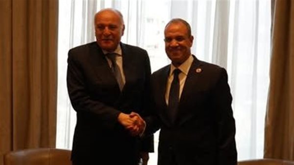 وزير الخارجية يلتقي نظيره الجزائري على هامش أعمال مجلس جامعة الدول العربية