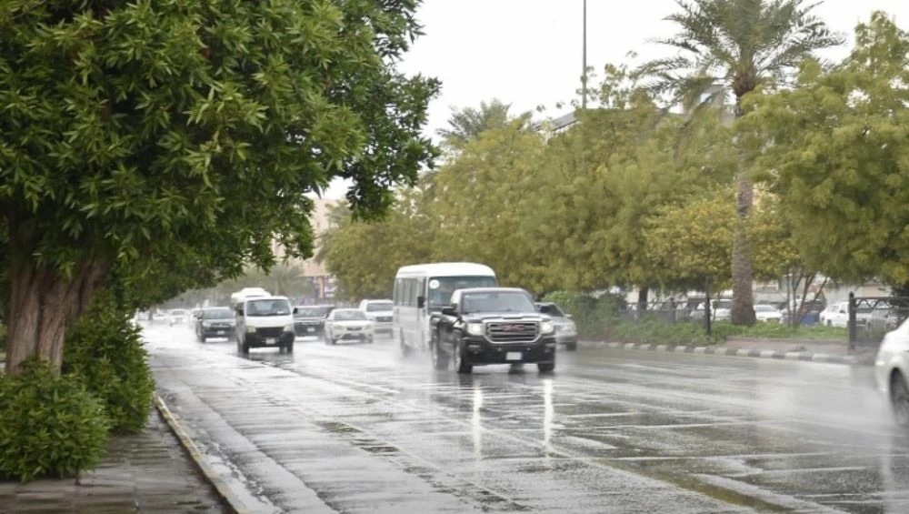 أمطار رعدية على 4 مناطق.. ورياح مثيرة للغبار تضرب 9 مناطق – أخبار السعودية