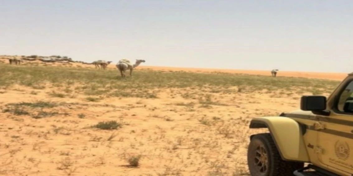 الأمن البيئي يضبط مخالفين لاستغلال الرواسب والرعي ودخول المركبات بالمناطق المحمية – أخبار السعودية