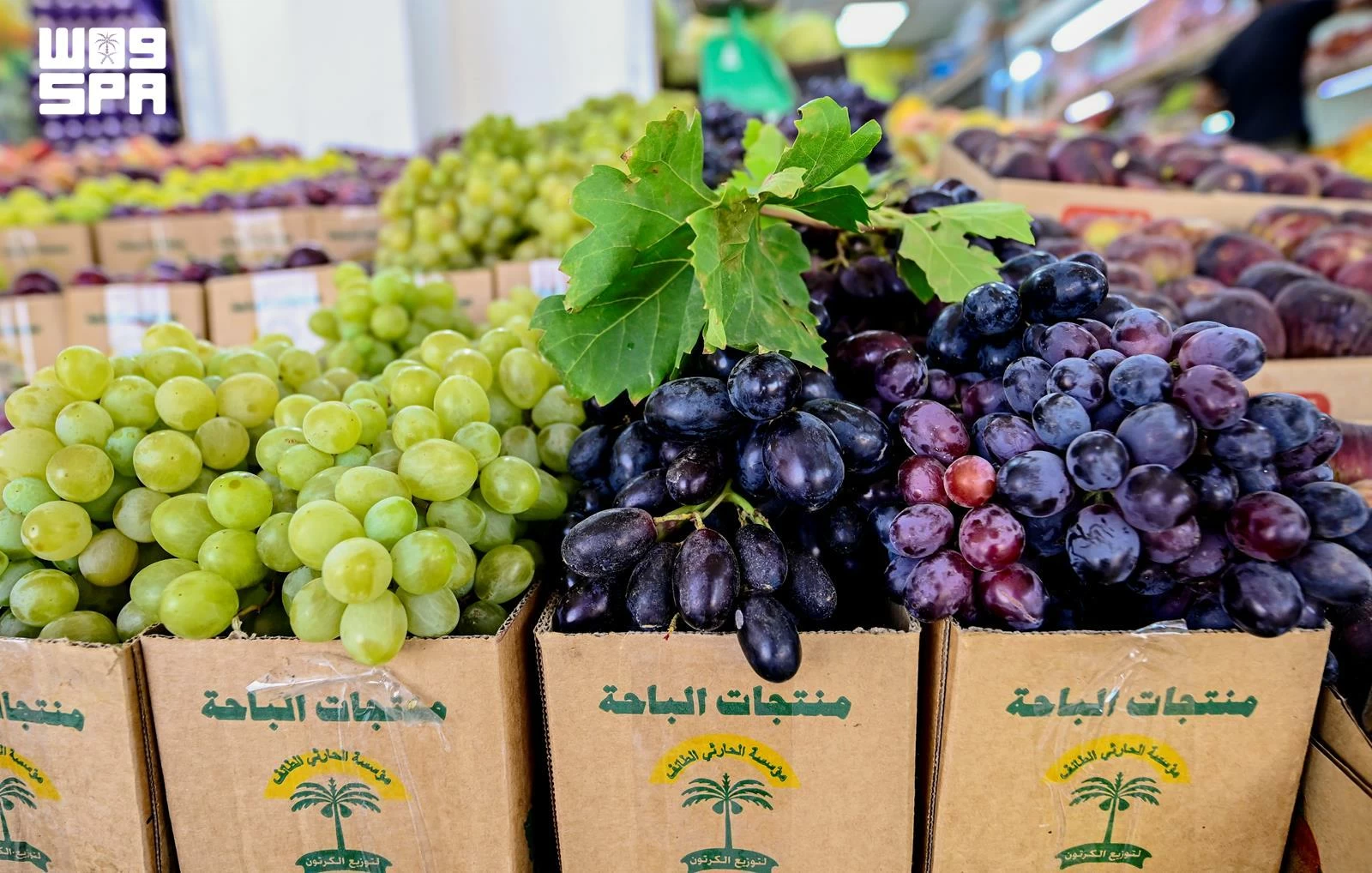 فواكه الباحة «براند صيف» الأسواق المحليّة – أخبار السعودية