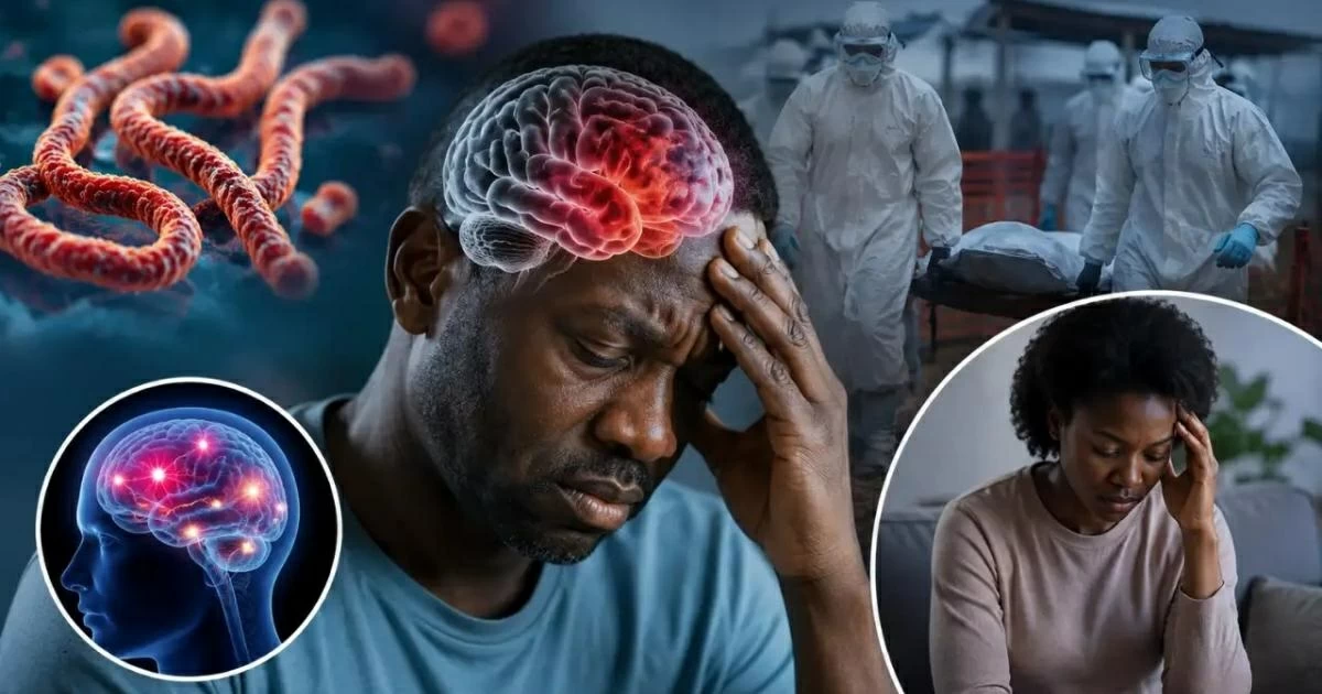 نتائج صادمة: «إيبولا» يبقى في الجسم 120 يوماً داخل خلايا الدماغ – أخبار السعودية