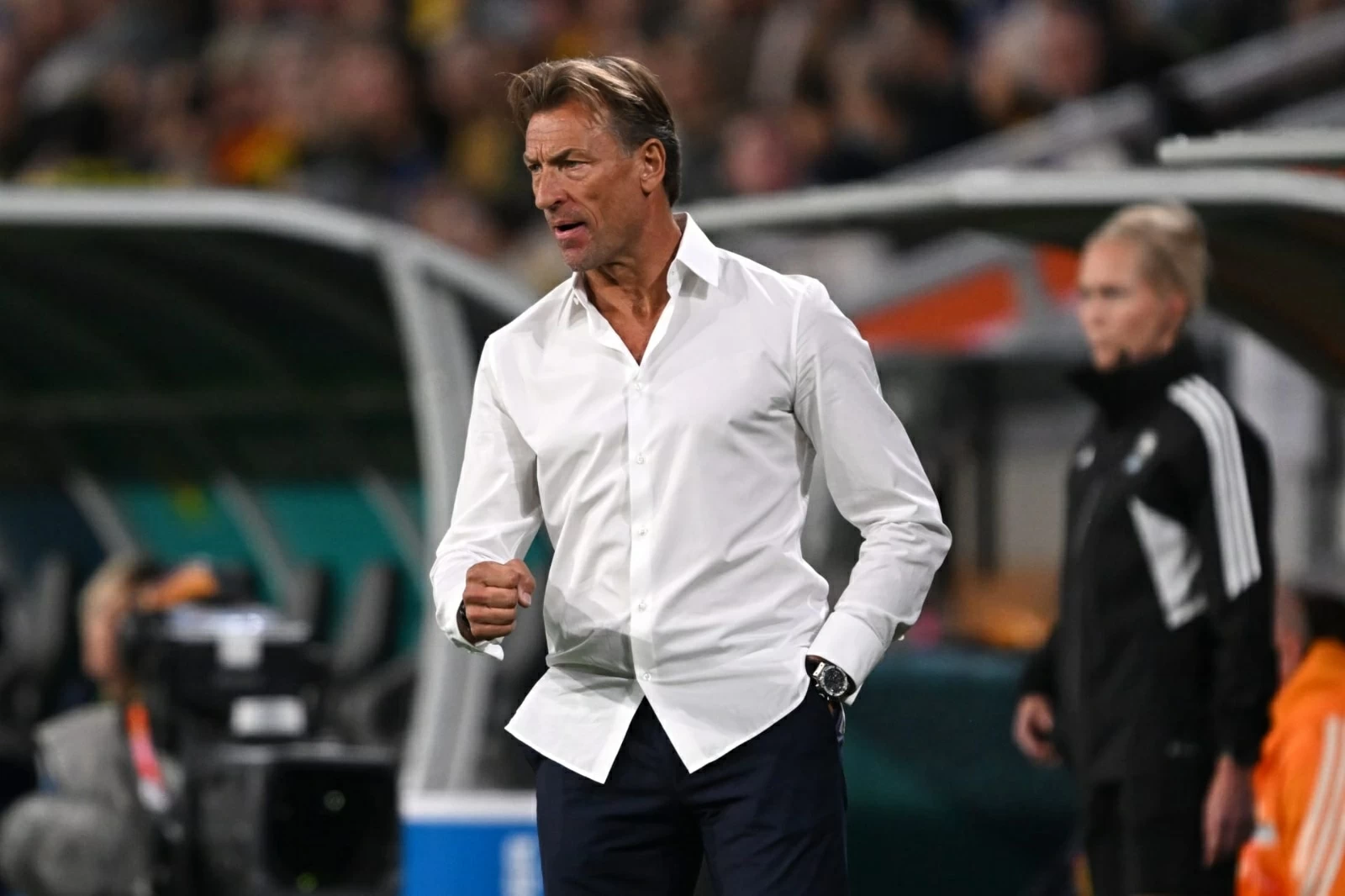 بعد أقل من أسبوعين على تعيينه.. رينارد يغادر تدريب منتخب تونس – أخبار السعودية