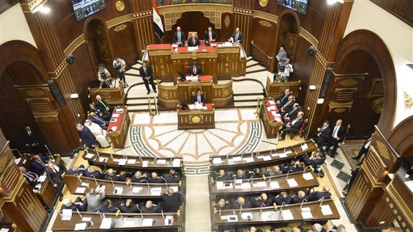عاجل..15 مليار جنيه للتعليم.. مجلس الشيوخ يناقش خطة التنمية 2026/2027