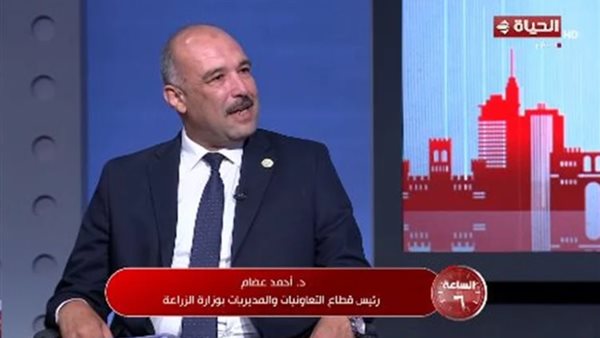 هل تقترب مصر من الاكتفاء الذاتي الغذائي؟ (تفاصيل)