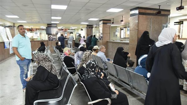 محافظ بورسعيد يُحيل 63 موظفًا بحي العرب للتحقيق بسبب الغياب والتأخر عن العمل