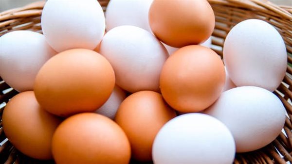 بعد تراجع سعر كرتونة البيض لـ65 جنيها.. نداء عاجل بفتح باب التصدير لهذا السبب| خاص