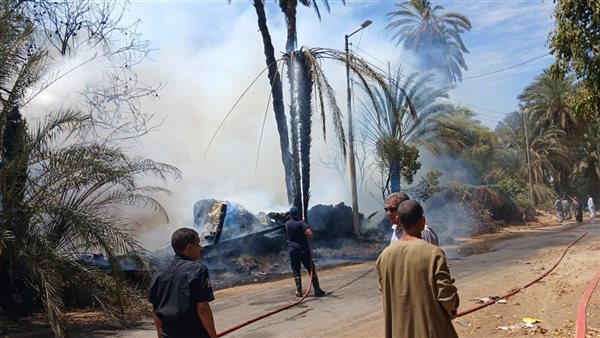 نفوق 6 رؤوس ماشية ومواتير أثناء نشوب حريق فى قوص بقنا