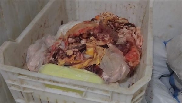 ضبط نصف طن لحوم ودهون حيوانية فاسدة داخل مصنع غير مرخص بالقليوبية