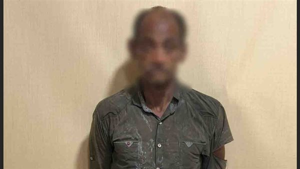 ضبط شخص حال قيامه بسرقة أسلاك التليفونات والكهرباء من أحد الشوارع بالإسكندرية