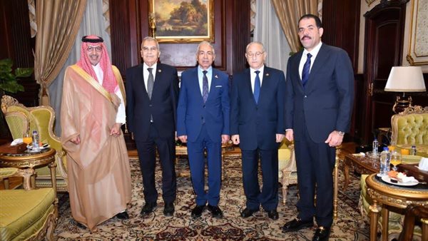 أمن السعودية جزء لا يتجزأ من الأمن القومى المصرى