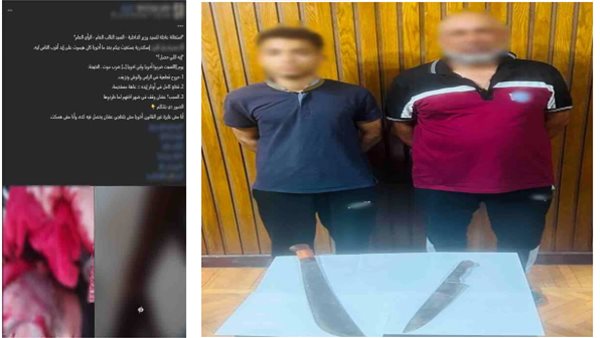 الداخلية تكشف حقيقة اتهام سيدة لشخصين بالتعدي على شقيقها بسلاح أبيض بالإسكندرية