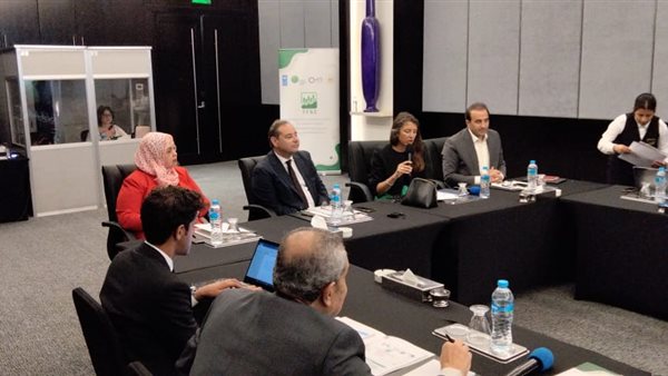 اجتماع رفيع لمتابعة مشروع تحويل الأنظمة المالية للمناخ في مصر