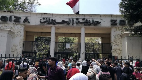 موعد افتتاح حديقة الحيوان بالجيزة 2026.. عودة تاريخية بوجه عالمي جديد