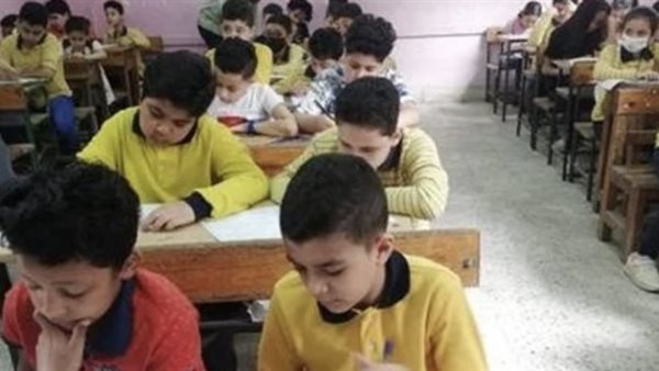 نتيجة الصف السادس الابتدائي بالدقهلية 2026 تترقب الإعلان عبر المنصات الرسمية قريبًا
