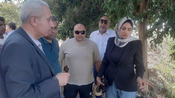 محافظ القليوبية يتابع أعمال اللجنة المشكلة لفحص فيديو ظهور تمساح بمصرف قرية الحصافة