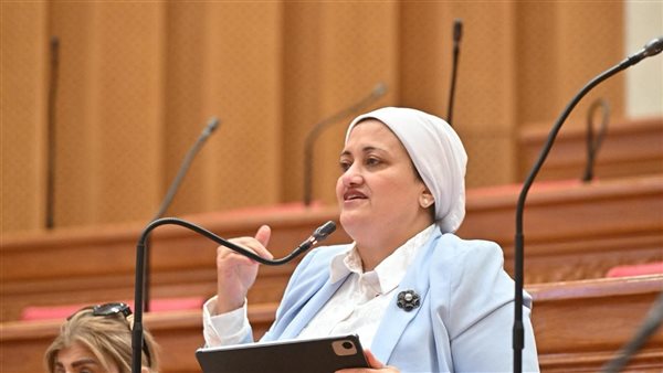 نائبة برلمانية تطالب الحكومة بتحرك عاجل لتطوير جزيرة الشخلوبة في كفر الشيخ