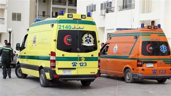 حادث مروع على الطريق الزراعي بالبحيرة.. وفاة شخص وإصابة 5 آخرين أعلى كوبري الكنج