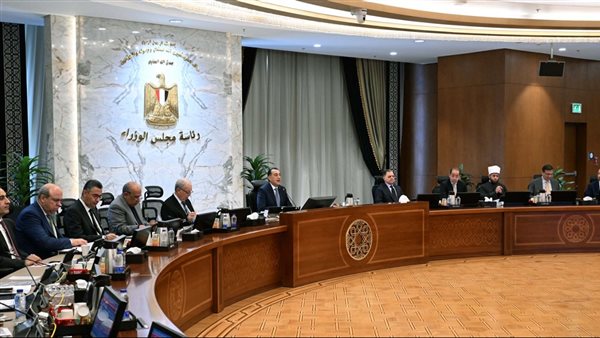 توريد 4.6 مليون طن قمح من المزارعين حتى الآن