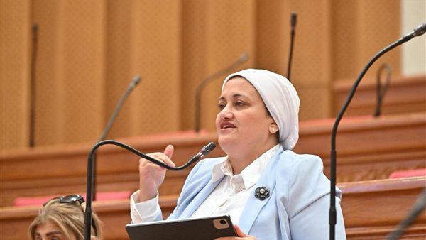 اقتراح برلماني لاستكمال طريق مصنع الرمان بالبداري قبل موسم التصدير