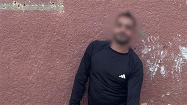 ضبط شخص نظم عروضًا ترفيهية بأسود مفترسة دون ترخيص في جنوب سيناء