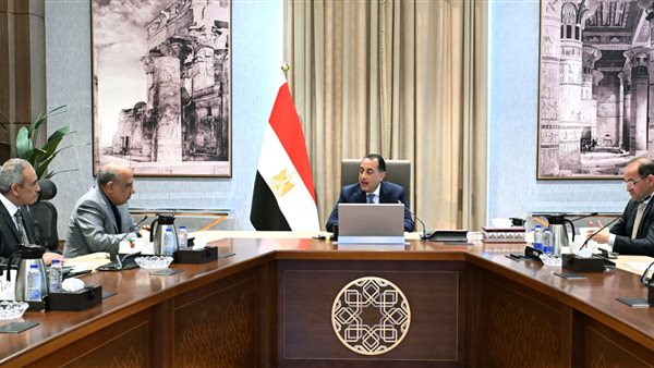 خفض فاتورة الوقود وزيادة إنتاج الكهرباء.. تفاصيل قرارات مدبولي الجديدة