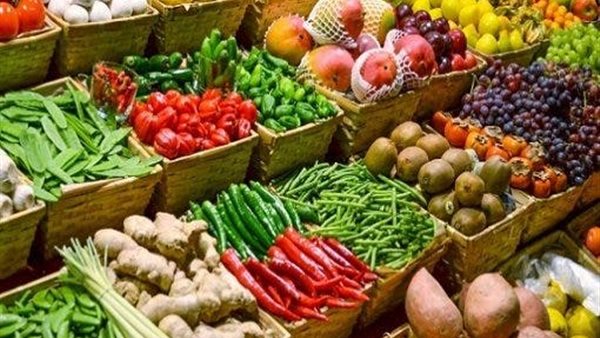 صادرات مصر من الصناعات الغذائية تسجل مستوى قياسيًا بلغ 3.77 مليار دولار