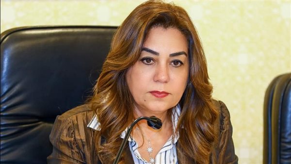 وزيرة التنمية تتلقى تقريرًا عن نتائج التفتيش بحي المرج وفحص شكوى بناء مخالف بعين شمس