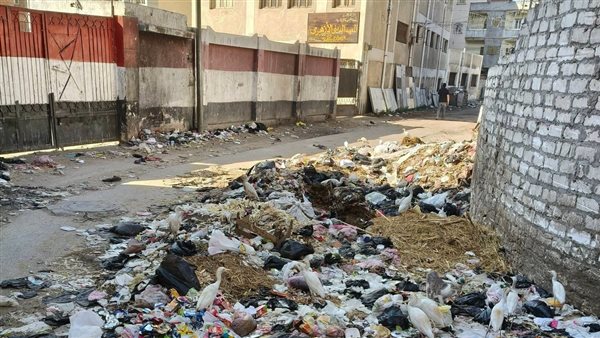 استغاثة من أهالي إفلاقة مقلب قمامة يحاصر المدارس ويهدد صحة الطلاب.. ومطالب بنقله نهائيًا
