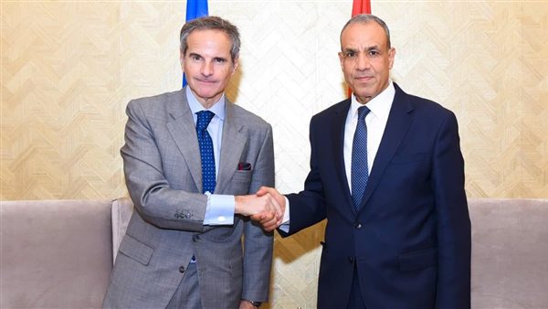 وزير الخارجية يلتقي المدير العام للوكالة الدولية للطاقة الذرية في العلمين
