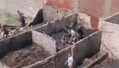 حريق يلتهم 6 رؤوس ماشية وعددًا من الأغنام والطيور بأرض زراعية في القليوبية