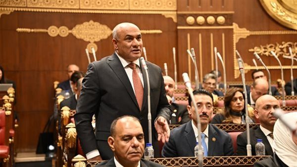 حوافز للمصريين بالخارج وتطوير منتجات للشباب والمرأة.. مقترح بـ«الشيوخ» لرفع معدلات الادخار