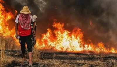 مصر تعرب عن تضامنها مع الجزائر في مواجهة حرائق الغابات